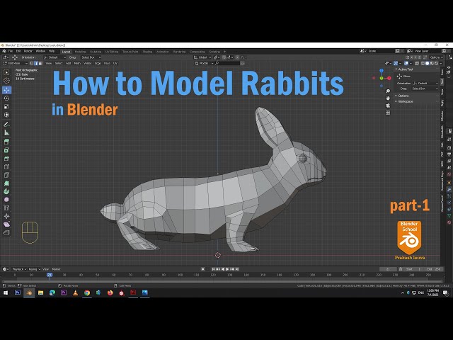 How to model Rabbits in blender/animal