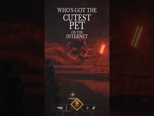 Cutest Pet in 40k