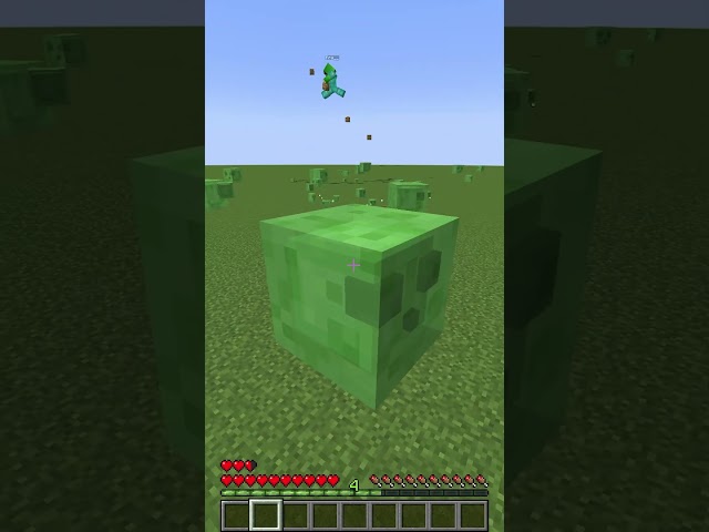 Hiding as a SLIME on a SUPERFLAT!