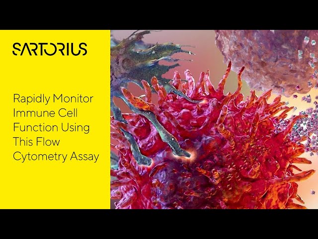 iQue Forecyt® Software and T-Cell Activation Workflow