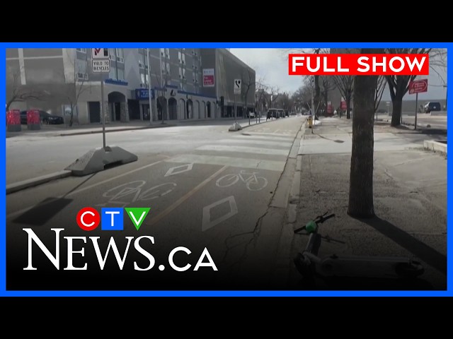 Dog's leg amputated after e-scooter crash | CTV News Edmonton at Six for Sept. 29, 2026