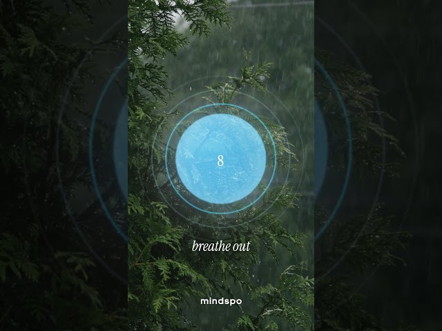 Guided Breathing Exercise 🌧️🌲 | Mindspo