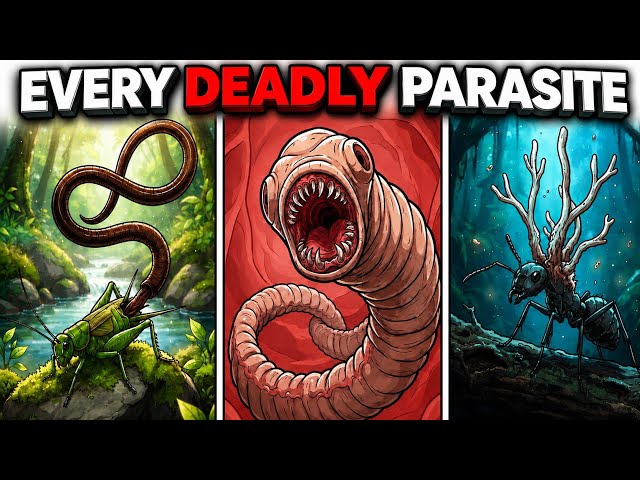 Every Parasite That TAKES OVER Host Explained in 12 Minutes 