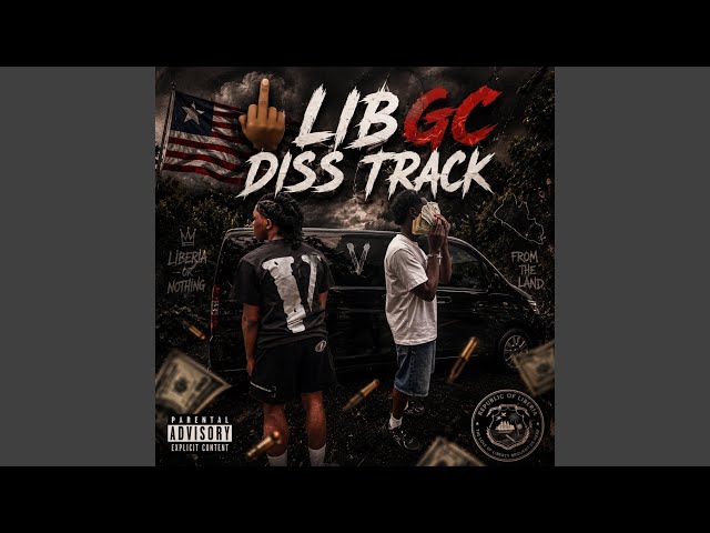 LIB GC Diss