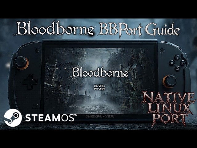 BLOODBORNE GOT A NATIVE LINUX PORT! - Bloodborne PC BBPort Guide