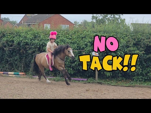🚨 No bridle. No saddle. No shoes. What could possibly go wrong? 😂🐴