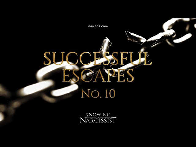 Successful Escapes : 10