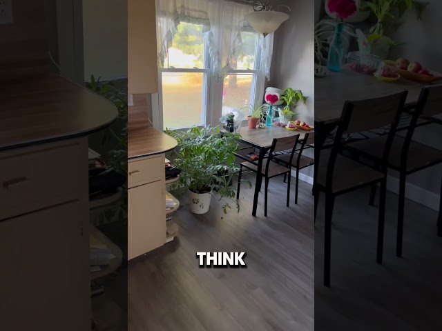 BEST Rug Under Kitchen Sink?!