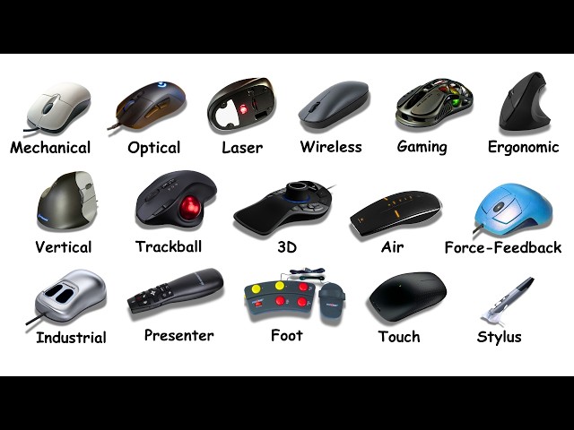 Every Type of Computer Mouse Explained in 11 Minutes