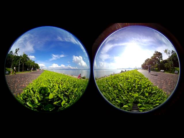 eloam 360 camera VR panoramic video for VR box