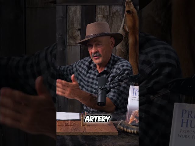Bear Hunt SAVED by This Bullet!?