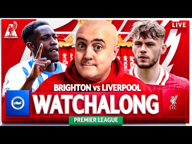 BRIGHTON vs LIVERPOOL LIVE WATCHALONG with Craig