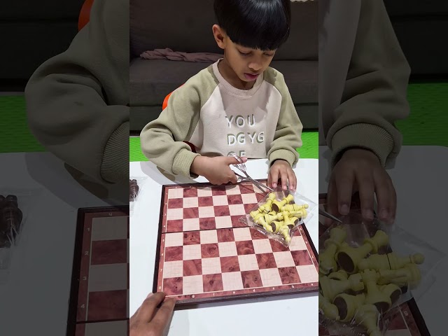 Bought a Chess Board & Started Playing!