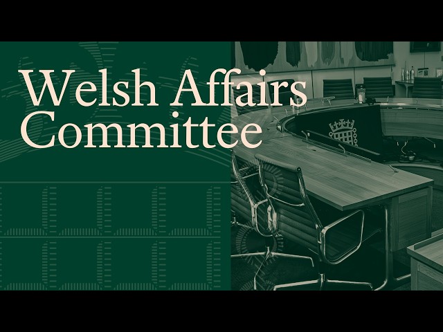 Michael Sheen speaks to the Welsh Affairs Committee about contaminated land