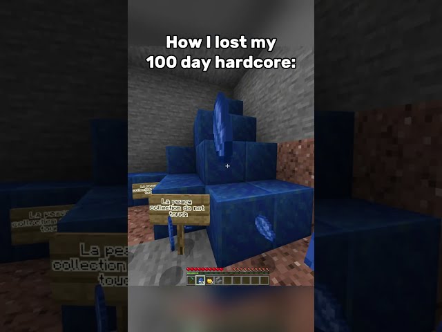 BRO LOST HIS HARDCORE WORLD #minecraft #gaming #funny