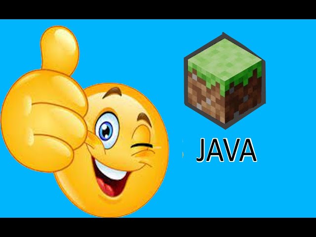 I played Java Edition