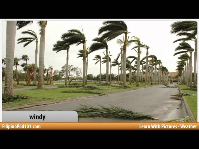 Learn Filipino with Pictures - Weather Forecast Says...