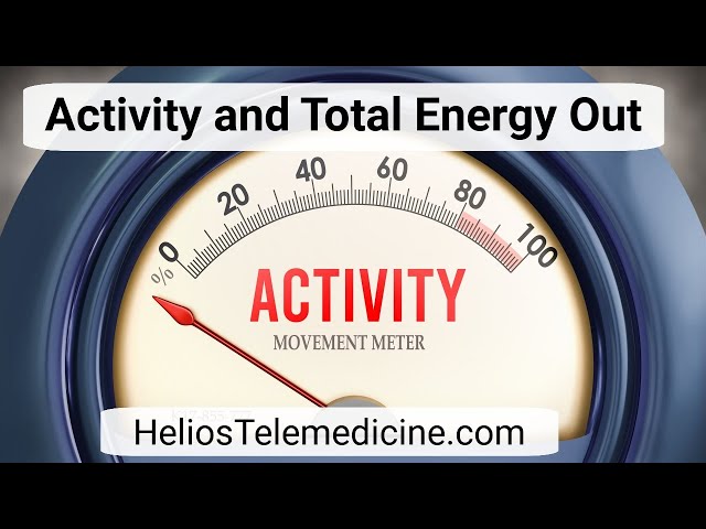 Daily Energy Expenditure Through Life