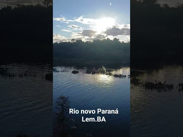 #videoviral