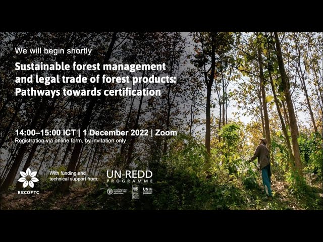 Sustainable forest management and legal trade of forest products: Pathways towards certification.