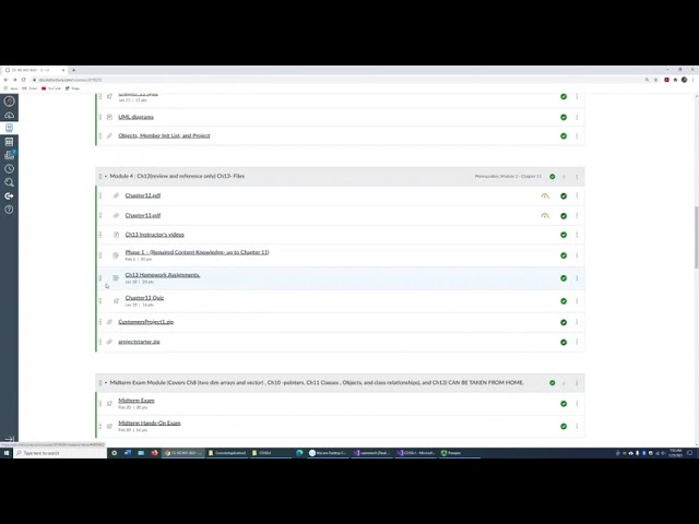 C++ Binary File Persistence: Save and Load Vectors of Customer Objects