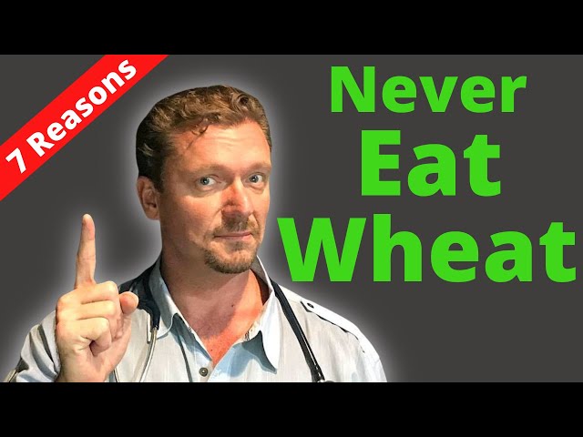 7 Reasons to NEVER Eat Wheat Again (Not Just Gluten) 2026
