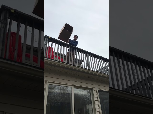 My neighbors are REALLY weird...