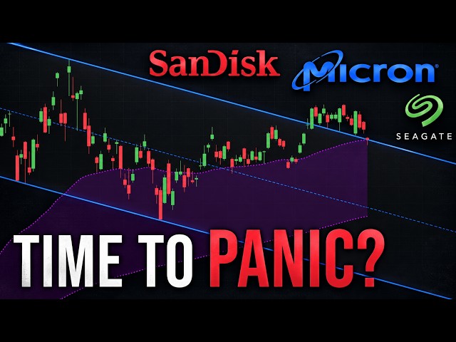 MICRON & SANDISK Stock Are Crashing - Here's Why | $MU $SNDK $SKHY $STX