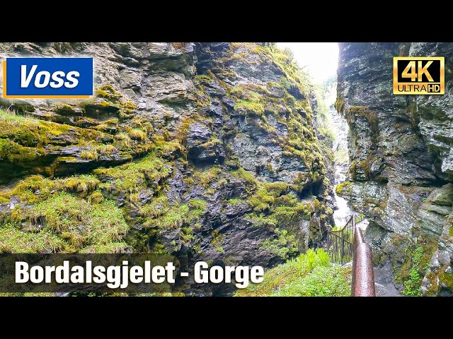 Voss: spectatular Gorge Bordalsgjelet - 30 min by foot