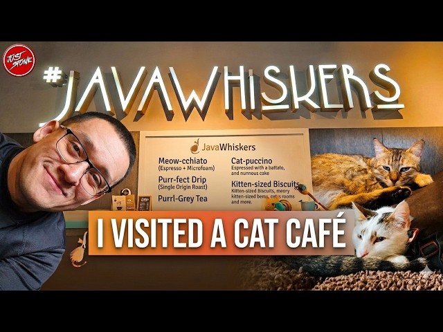 I Had a London Cat Cafe Entirely to Myself...