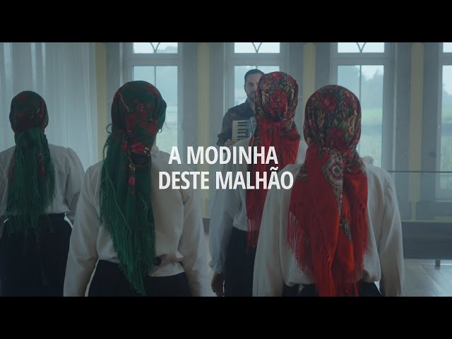 Ruizinho Do Acordeão - A Modinha Deste Malhão (Video Oficial)