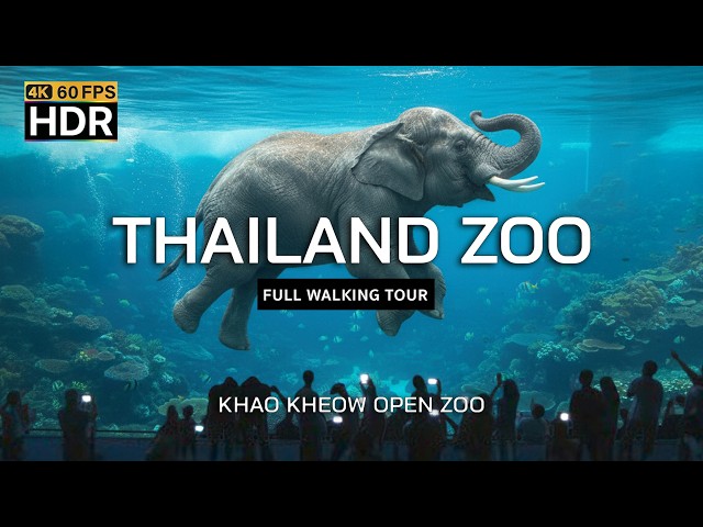 🇹🇭 4K HDR | Amazing zoo in Thailand 2025 | Khao Kheow Open Zoo | Full Walking Tour