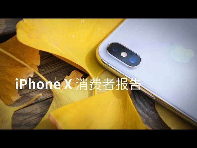 爱否 Fview iPhone X 消费者报告