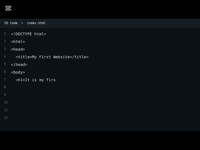 Web development