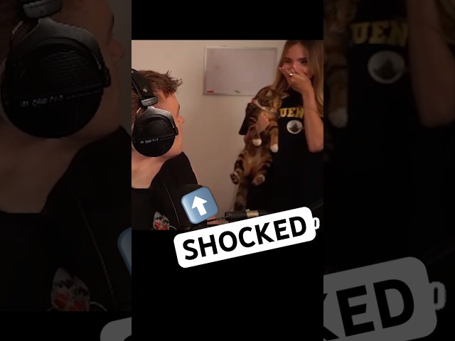 Streamers gf brings home a random CAT off the street 💀🐈