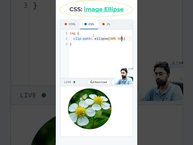 HTML Image Vertical Ellipse #coding #htmltutorial #csstutorial