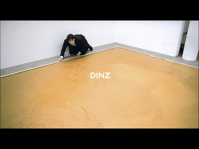 Wim T. Schippers & DINZ