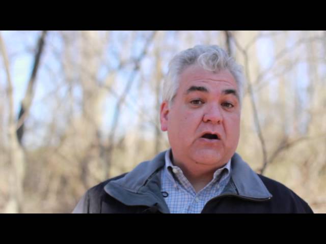 What is Forest Certification