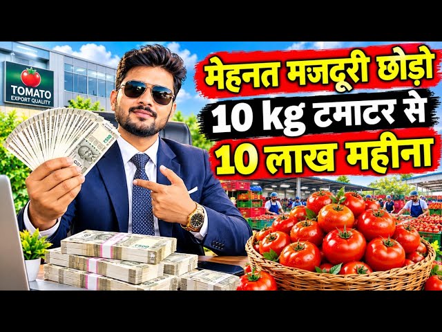 मेहनत मजदूरी छोड़ो 10 kg टमाटर से 5 लाख महीना घर  बैठे 