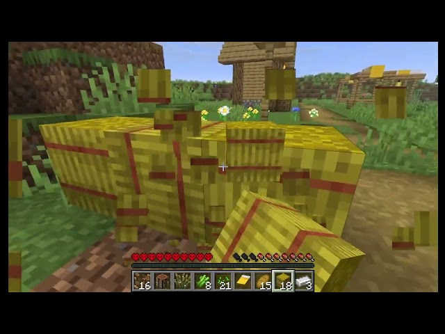 My Last Time PLaying Minecraft...GoodBye