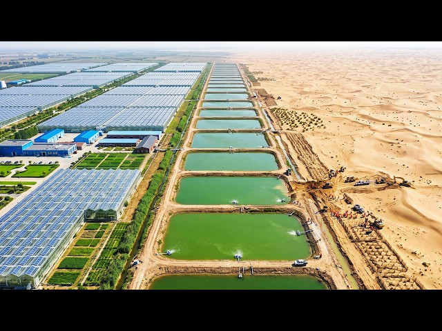 How China's SMART FARMING Turns Dead Deserts Into Green OASES