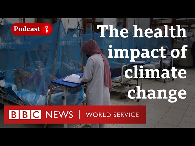 How are doctors dealing with climate change? - The Climate Question podcast, BBC World Service