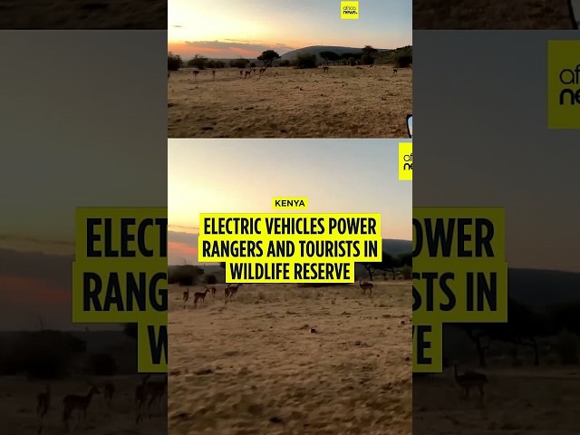 Electric vehicles find their way into Kenya's game reserves