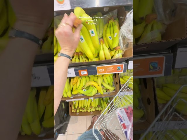 Afternoon vlog
