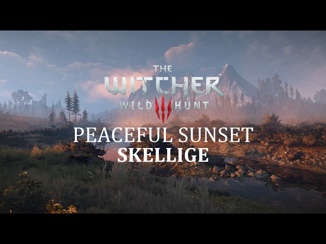 Witcher 3 - Skellige - Peaceful Sunset - Music & Ambience