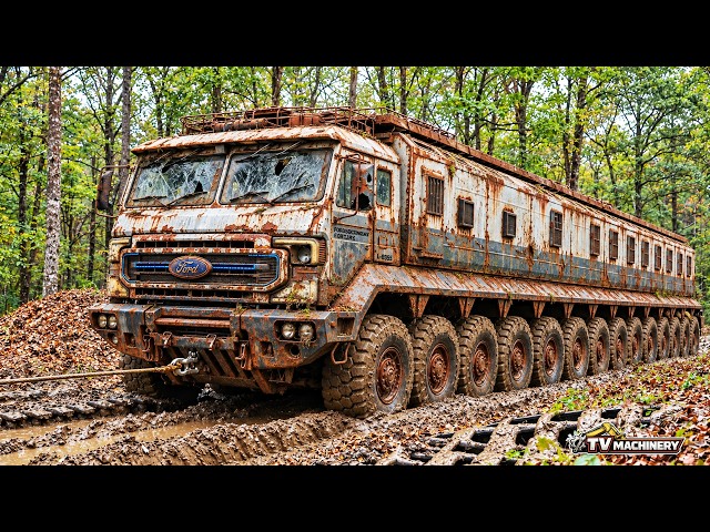 We Found a Massive Rusty Ford Truck Hidden in the Forest | Full Restoration