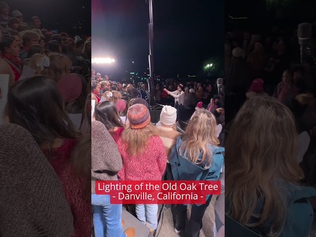 Lighting of the Old Oak Tree