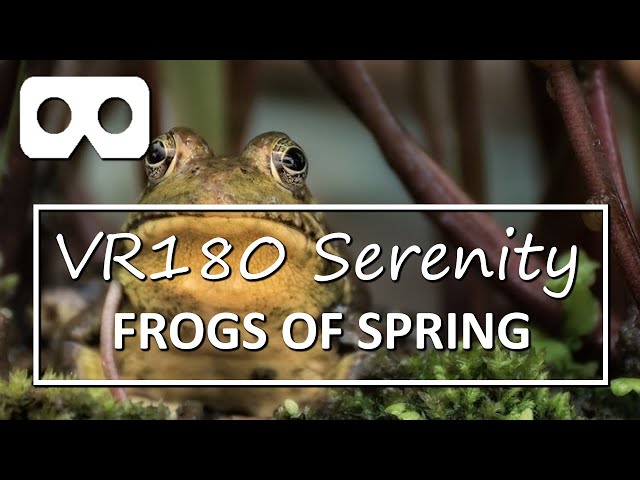 Frogs of Spring: Relax for 7 minutes immersed in the sounds of early spring at dusk