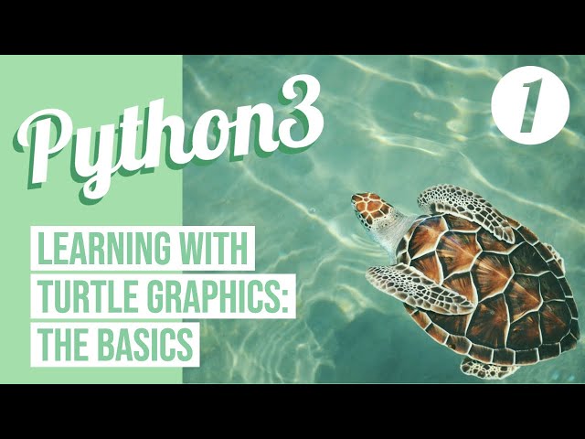 Python3 Exercises - Basics