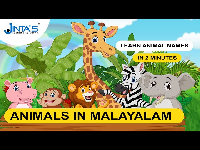 Learn  Malayalam in Just 2 Minutes! - Animals | +919009400748 | JINTAS